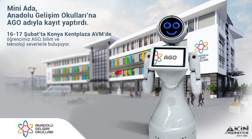 Mini Ada Anadolu Gelişim Okulları, Anadolu Gelişim Koleji, Gelişim Koleji